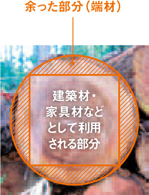 国産の割り箸は間伐材や住宅・家具材などの端材で作られる。