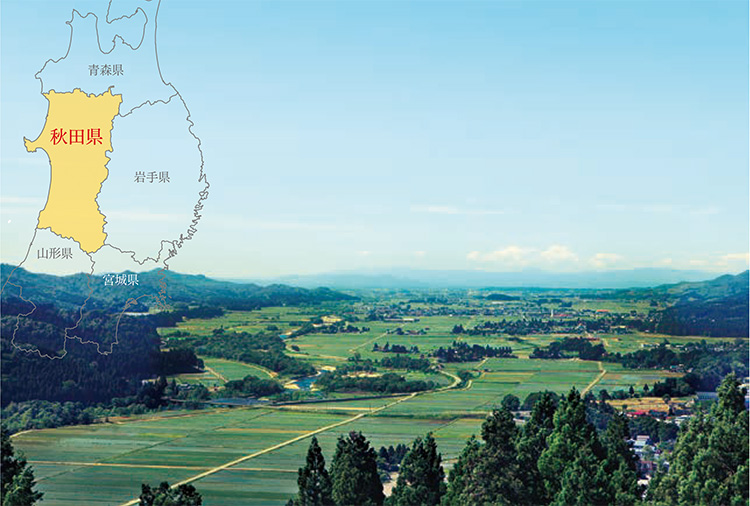 稲庭城天守閣からの眺望(秋田県湯沢市)