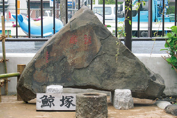 (D)鯨塚