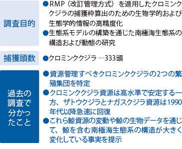 新南極海鯨類科学調査（2015/16年開始）
