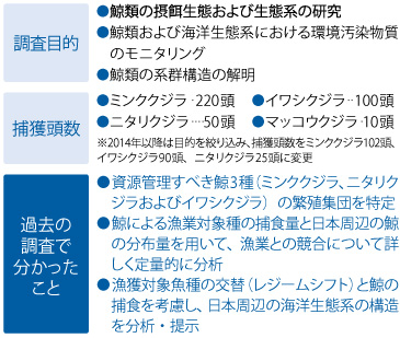 第II期北西太平洋鯨類捕獲調査（2000年開始）