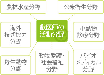 獣医師の活動分野