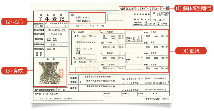 子牛登記