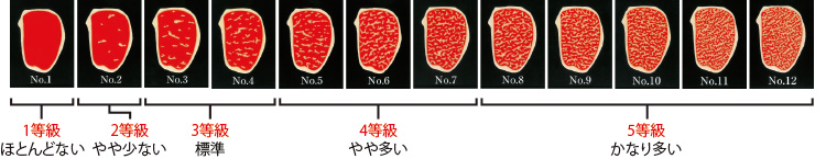 脂肪交雑