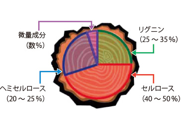 木材の成分構成比