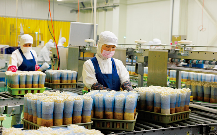 自動計量ラインで重さを、目視で品質をチェック。作業の効率化のため一株をそのまま出荷する。