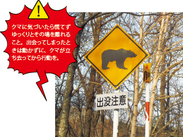 クマには細心の注意を