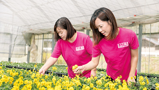花苗のハウスで、花の手入れをする初美さんと長女の智美さん。