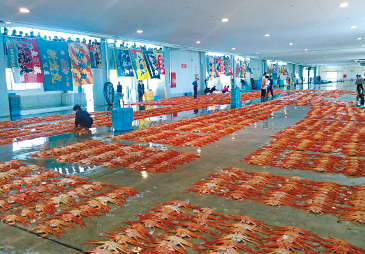 前年度グランプリの新湊漁業協同組合（富山県射水市）は、鮮魚の積極的なＰＲ活動を行っている。セリ場には、衛生面や進行面を配慮して見学者通路を設置。見学者も大きく増えた。