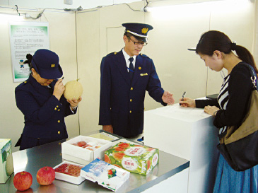 国内から国外へ果物などをお土産として持ち出すときの検査の様子。