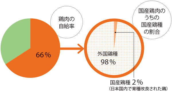 鶏肉の自給率と国産鶏種の割合