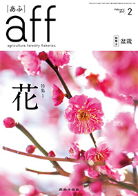 aff（あふ）2017年2月号表紙