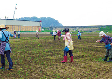 八幡ファームの組合員と地域住民による、そばの種まき。