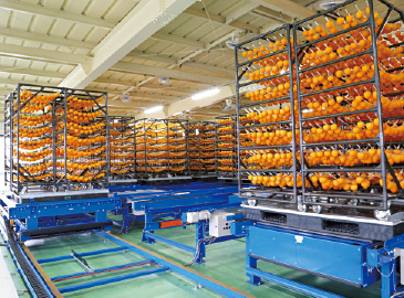 ムラができないよう、移動しながら乾燥させる自然循環乾燥設備。