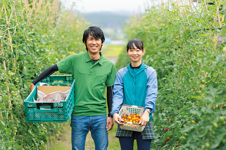 トマトの生産には種や苗木、肥料に農機具、ビニールハウスなど多くの農業資材が必要となり、そのコスト削減が課題に。