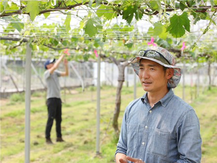 「工夫すると結果が出るのがぶどう作りのおもしろさです」と内田さん。