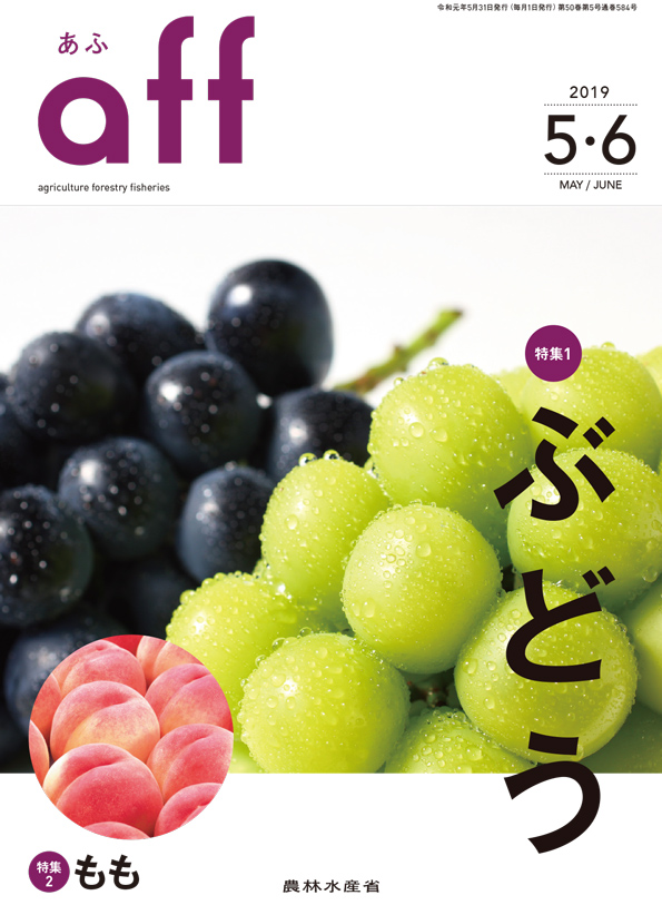 2019年5・6月号