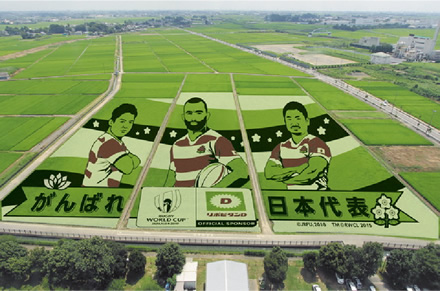 2019年は、ラグビー日本代表を応援する田んぼアートを大正製薬と共同制作する予定(写真はイメージ)。