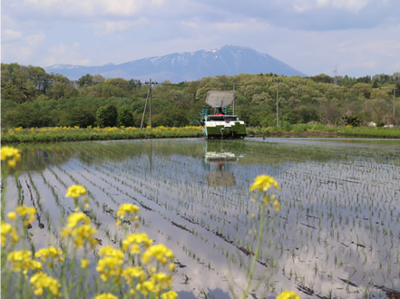 岩手山を望む水田で田植え機を運転する。1年前に大型特殊免許を取得したばかり。