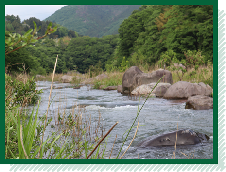 黒保根町は赤城山の伏流水を水道としていて、おいしい米や野菜ができます。