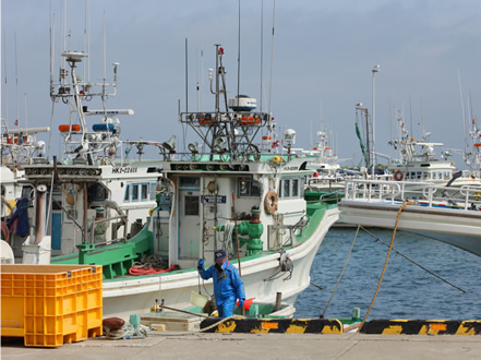 噴火湾に面した落部漁港。刺し網漁の他、ホタテガイの養殖も行われている。