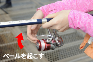 糸の長さを調節するリールで、間違いやすいのがベールの使い方。(1)ベールを起こす。(2)リールから自動的に糸が送られ、仕掛けが海に沈む。