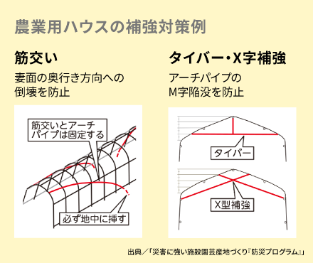 農業用ハウスの補強対策(一例)