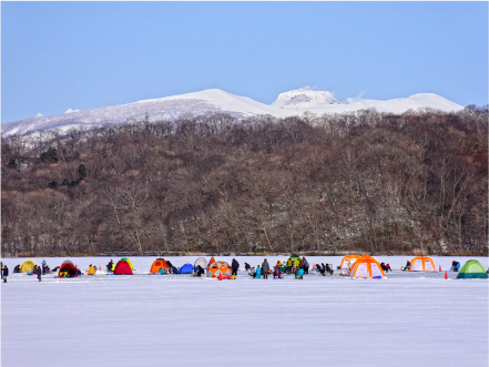 冬は、雪化粧の樽前山を望む。