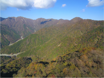 蛭ケ岳、丹沢山、塔ノ岳の連なり。