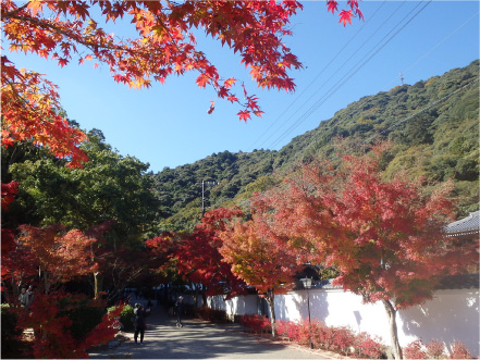 紅葉谷のメインストリート。