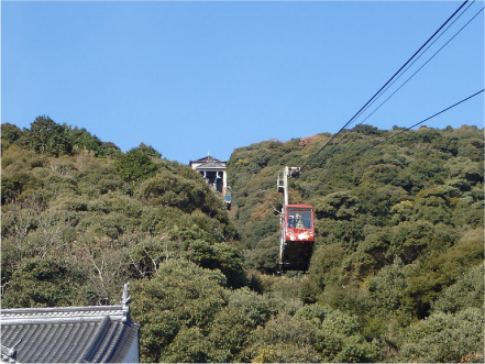 ロープウェイで常緑広葉樹の山を空中散歩。