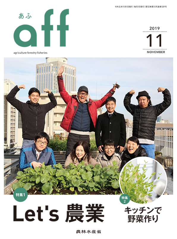 2019年11月号