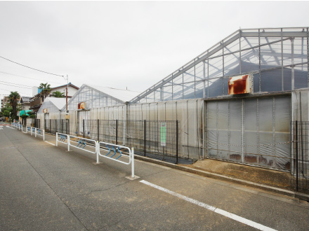 閑静な住宅地の中に建ち並ぶ農園