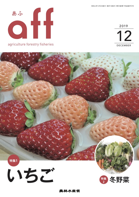 2019年12月号