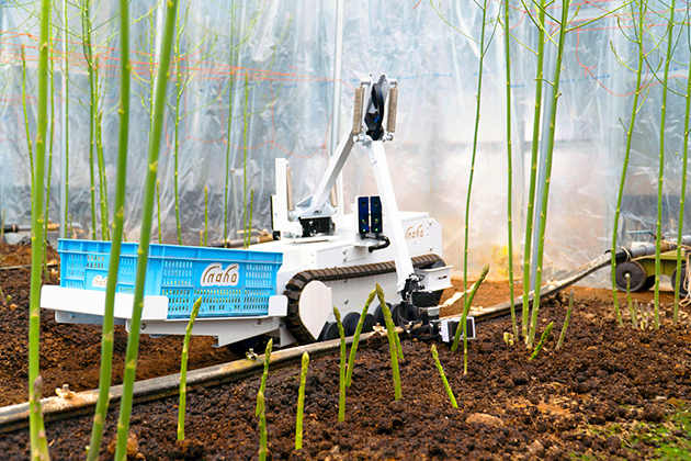 自動野菜収穫ロボット