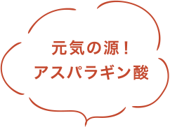 元気の源!アスパラギン酸