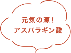 元気の源！アスパラギン酸