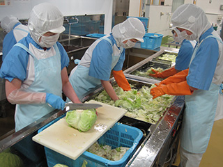 写真:野菜をカットする様子