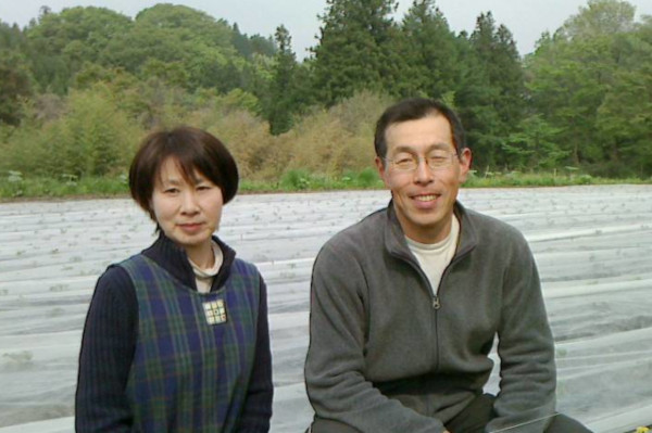画像：きゅうり　水野 宏泰さん
