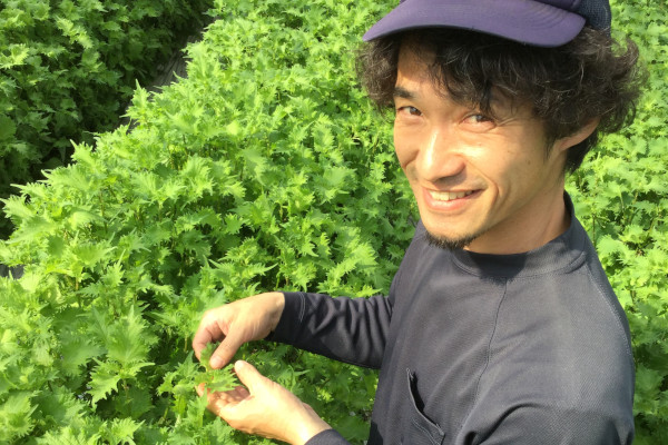 画像：大葉　荒井 英之さん