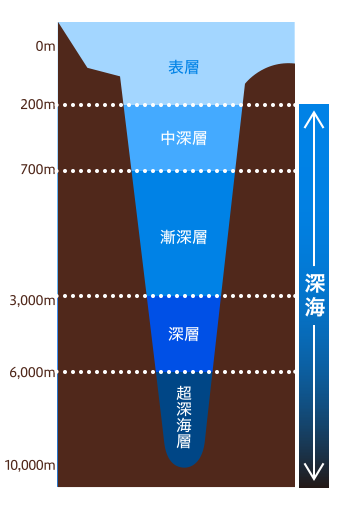 図：水深0～200mが表層、200m以降が深海。200～700mが中深層、700～3000mが漸深層、3000～6000mが深層、6000～10000mが超深海層