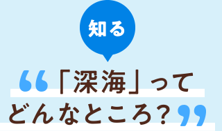 知る 「深海」ってどんなところ？