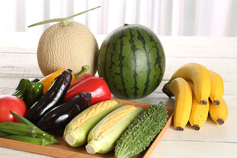 写真：夏野菜&果物