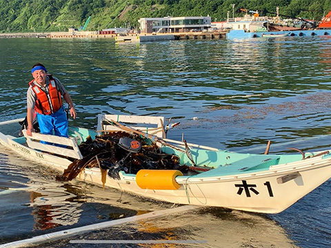 写真:漁の様子