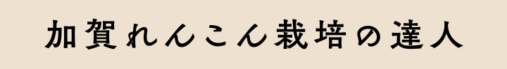 加賀れんこん栽培の達人