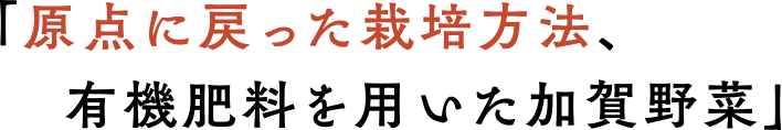 原点に戻った栽培方法、有機肥料を用いた加賀野菜