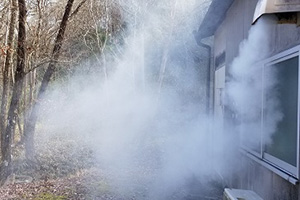 写真:乾燥、燻製、ボイル