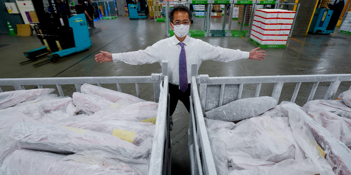 写真:豊洲市場に届いた水産物
