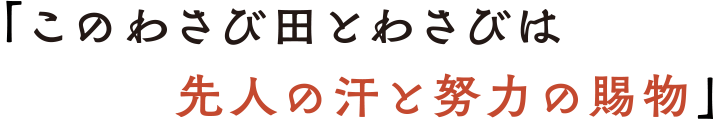 「このわさび田とわさびは先人の汗と努力の賜物」