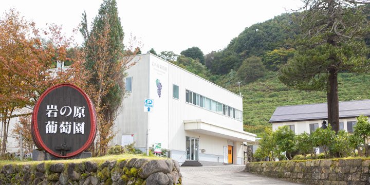 写真:岩の原葡萄園
